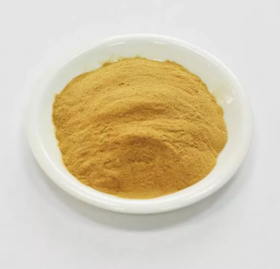 Сухой экстракт имбиря (корень) (лат. Zingiber Officinale Rosc)
